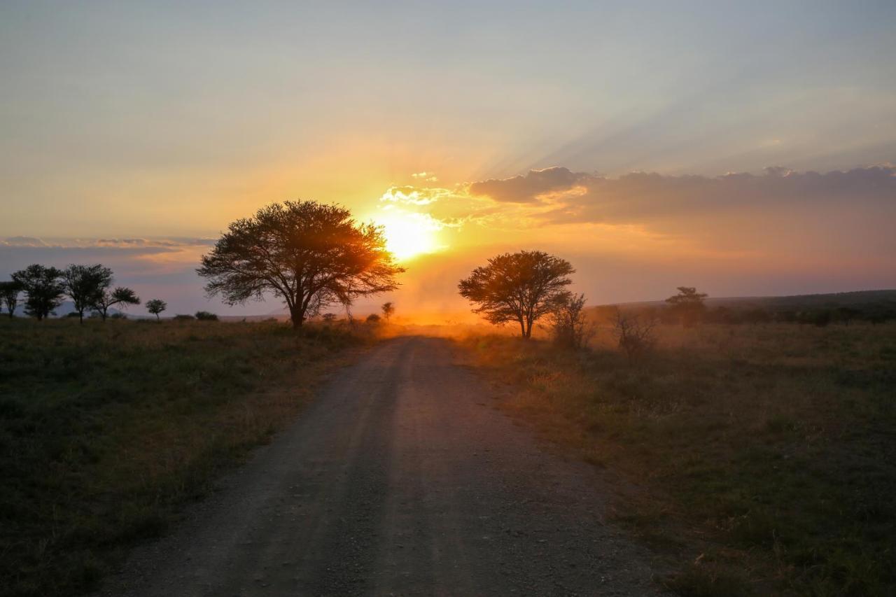 Osero Serengeti Luxury Tented Camp Banagi Exteriér fotografie