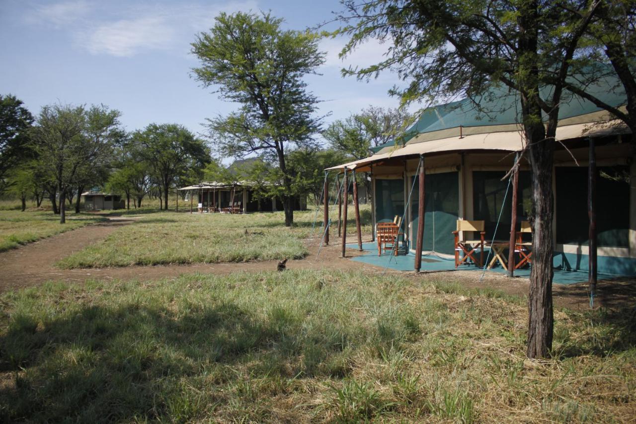 Osero Serengeti Luxury Tented Camp Banagi Exteriér fotografie